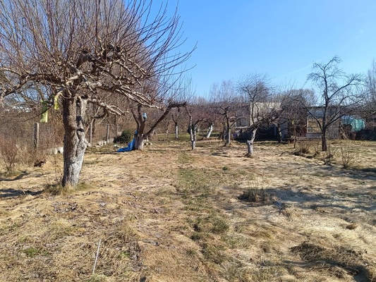 Elbląg Sprzedam działkę do własnej aranżacji.