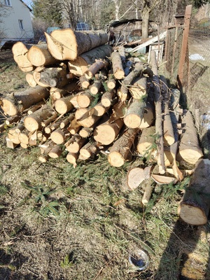 Elbląg witam,
sprzedam ok 2 i pół m3 świerka ściętego 6 miesięcy temu, pocięte na ok 1,2 m, grubsze na 0,6 m