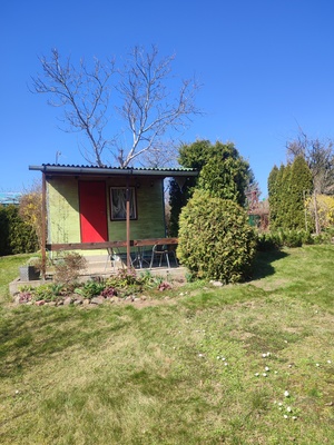 Elbląg Ogródek działkowy ROD Tęcza I