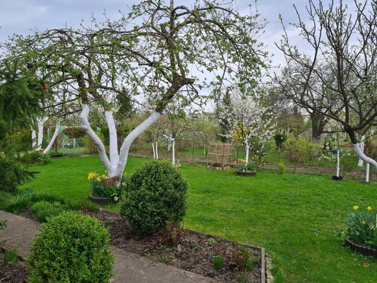 Elbląg 🌳🏡 NA SPRZEDAŻ – DZIAŁKA W ROD „ BRATEK” ELBLĄG, UL. OKRĘŻNA / FROMBORSKA