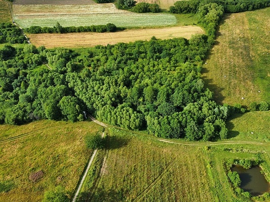 Elbląg NIERUCHOMOŚCI ANNA KRASZEWSKADziałka w Tolkmicku z widokiem na Zalew Wiślany Grunt o pow.1,42 haUzbrojenie: