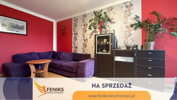 Elbląg FENIKS NIERUCHOMOŚCIPOLECA:MIESZKANIE 3 POKOJOWE W PRZY  UL. KŁOCZOWSKIEGONAD JAREMCENA 430.000 ZŁ 