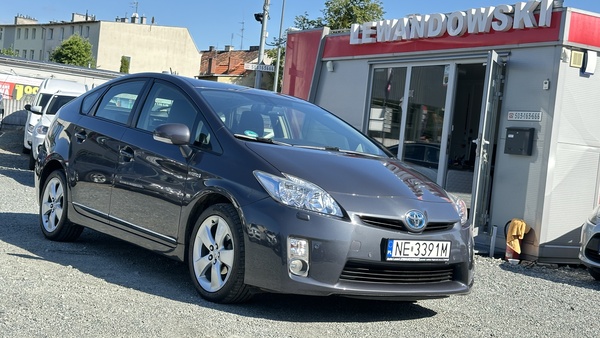 Elbląg Auto Leew LEWANDOWSKI