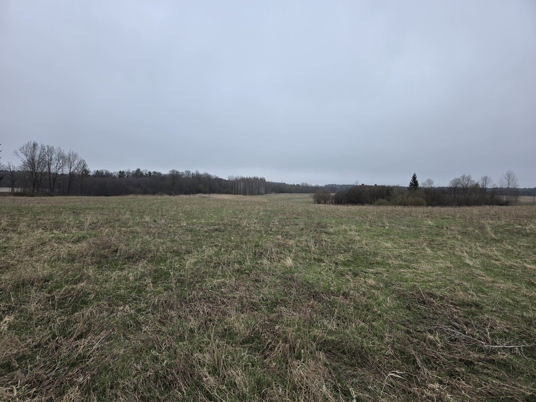 Elbląg MEGA-CONSULT NIERUCHOMOŚCI - WYCENA, SPRZEDAŻ, KUPNO, WYNAJEMOFERUJEGRUNTY ROLNE POŁOŻONE NAD RZEKĄ PASŁĘKĄ