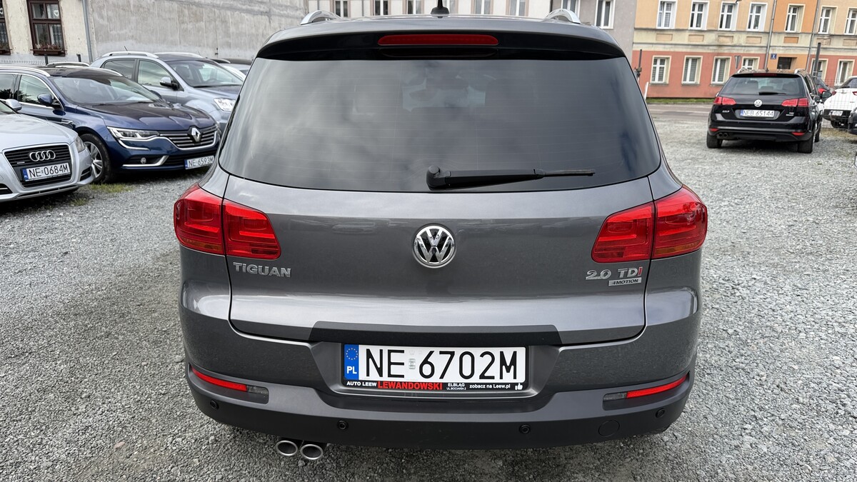 Elbląg Auto Leew LEWANDOWSKI Kupujemy i Sprzedajemy tylko dobre auta Za auta z Polskiego Salonu Płacimy Najwięcej