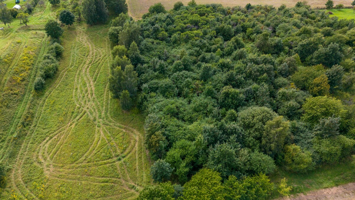 Elbląg Profesjonalne zdjęcia z drona! Zdjęcia wysokiej rozdzielczości: działki budowlane, rolne, budynki, domy Zdjęcia