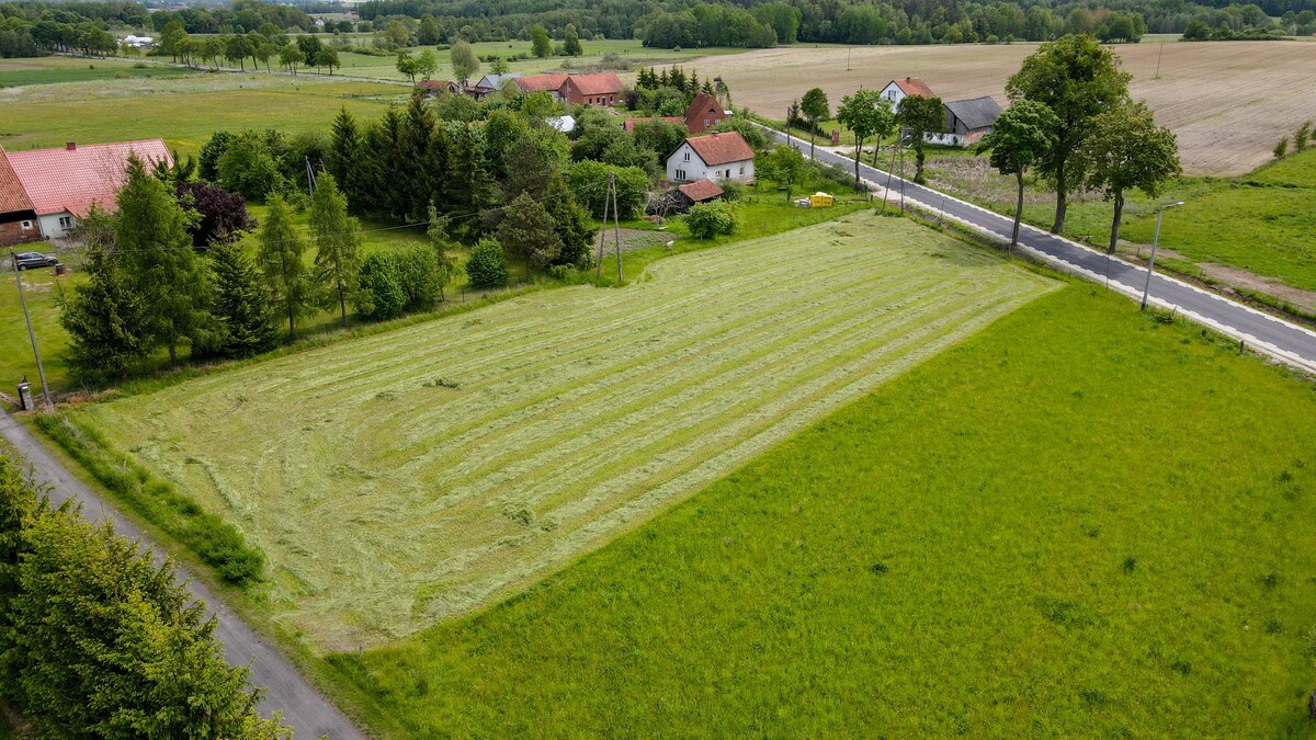 Elbląg Kurowo Braniewskie zaczarowana działka na granicy świata ludzi i magii.