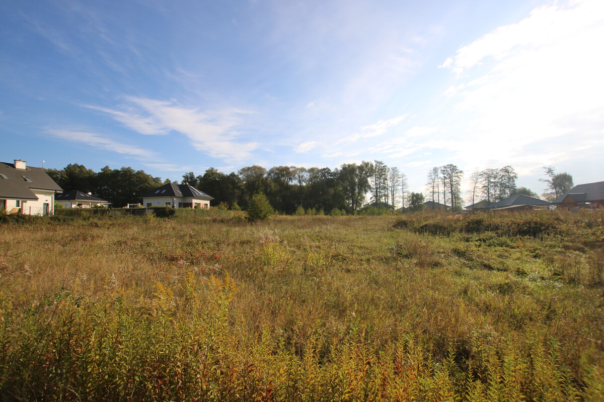 Elbląg NIERUCHOMOŚCI ANNA KRASZEWSKA Działka w Komorowie Żuławskim pod budowę domu1810 m2Wydane warunki