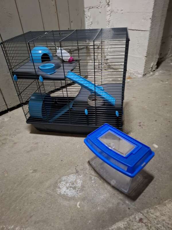 Elbląg Sprzedam praktycznie nową klatke na chomika wraz z kontenerkiem do transportu.
