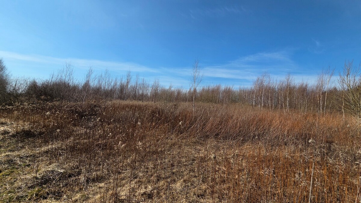 Elbląg SZULC & SZULC BIURO NIERUCHOMOŚCI Działka budowlana - Łęcze, gmina