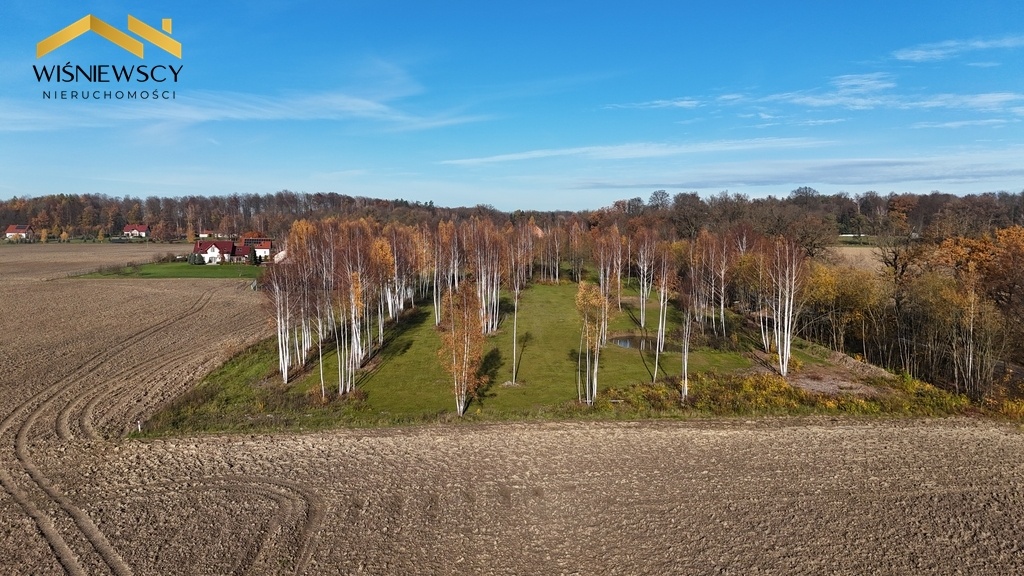 Elbląg WIŚNIEWSCY NIERUCHOMOŚCI Sp. z o.o.Sprzedam działkę - Dawidy. Oferta sprzedaży działki rolnej z wydaną