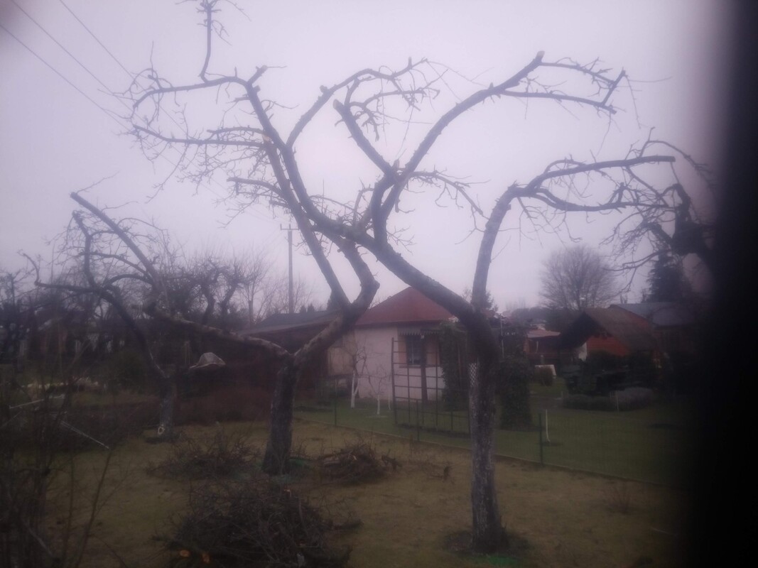 Elbląg ODBIORĘ ZALEGAJACY ZŁOM, ELEKTRO-ŚMIECI Z GARAŻU POMIESZCZEŃ GOSPODARCZYCH, PIWNICY, OGRODU. W ZAMIAN OFERUJE