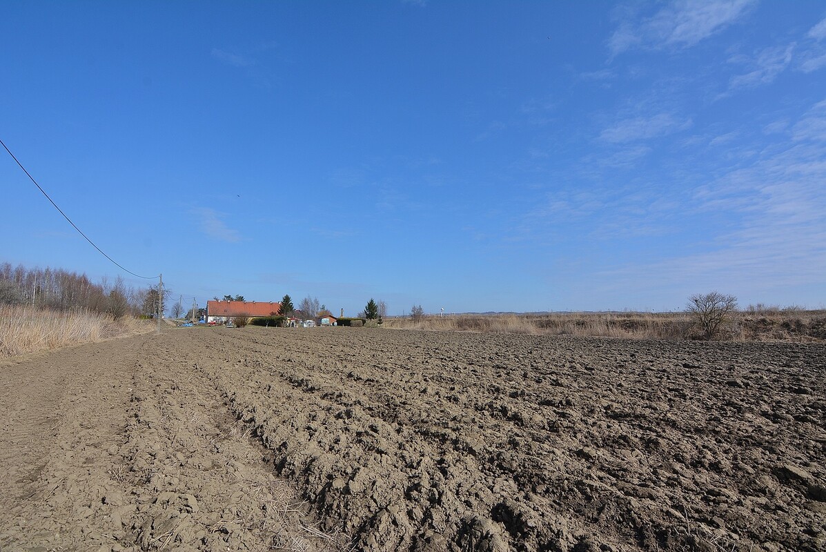 Elbląg NA SPRZEDAŻ 2 DZIAŁKI W MIEJSCOWOŚCI NOWAKOWO, 10 KM OD ELBLĄGA. WGN Nieruchomości oddział Elbląg poleca