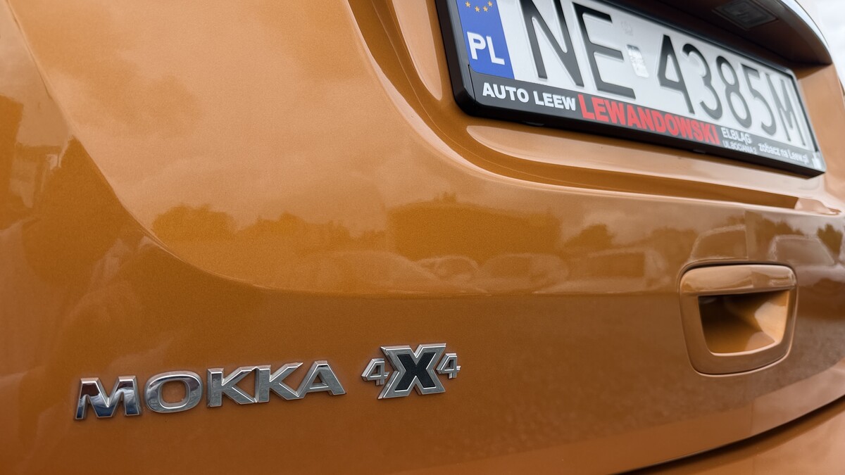 Elbląg Auto Leew LEWANDOWSKI