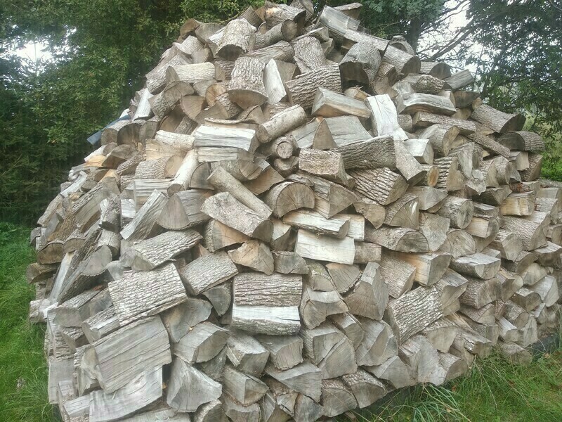 Elbląg Drzewo kominkowe i opałowe sezonowane 3 lata!