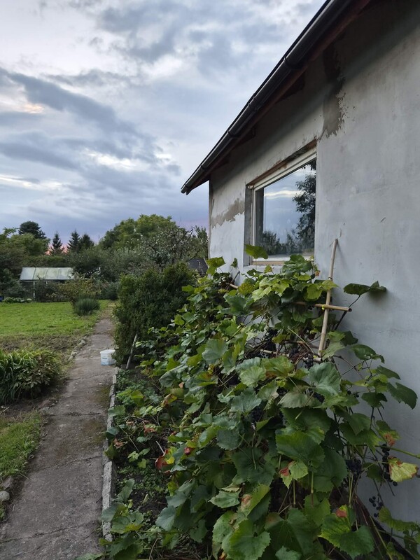 Elbląg Działka ROD Słoneczne Wzgórze 450 m² – odstąpię prawo do użytkowania | domek | szklarnia