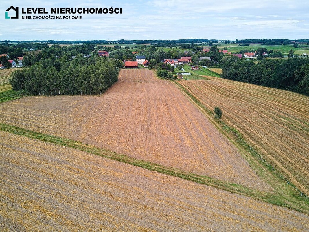 Elbląg LEVEL NIERUCHOMOŚCI Gospodarstwo rolne - siedlisko Pogrodzie NIERUCHOMOŚCI NA POZIOMIE