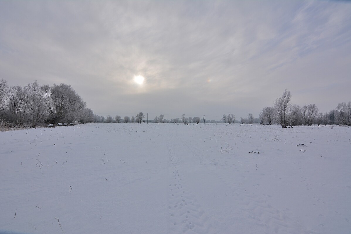 Elbląg NA SPRZEDAŻ DZIAŁKA W MIEJSCOWOŚCI MARKUSY, POWIAT ELBLĄSKI. WGN Nieruchomości oddział Elbląg poleca w