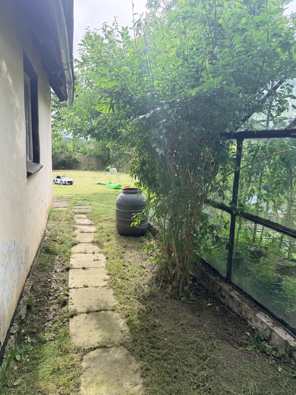 Elbląg ROD „Tęcza” Bielany (Elbląg) – ok. 400 m² Sprzedam cichą działkę 405 m² z prywatnym wyjściem do lasu! Media: