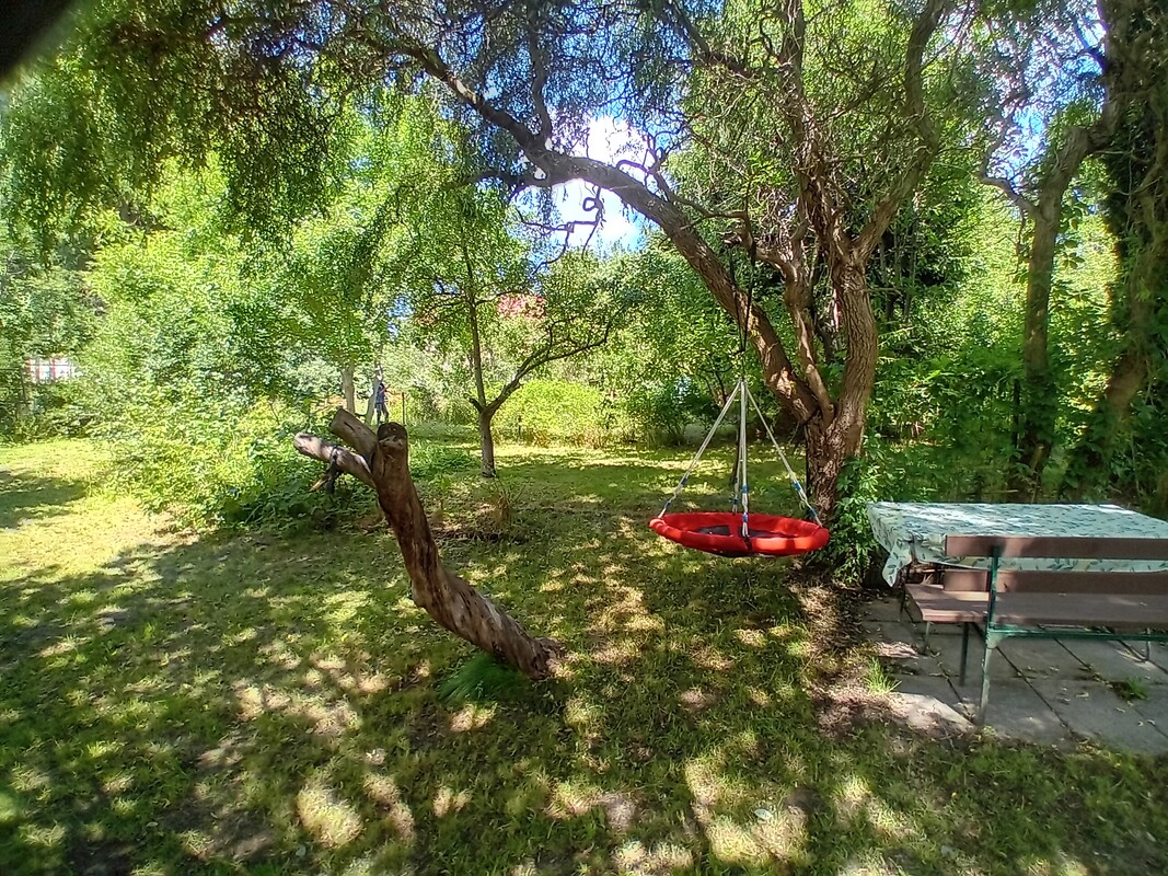 Elbląg 🌳 Wyjątkowo duża, piękna działka z altanką w okazyjnej cenie w ROD Moniuszki przy Parku Wodnym