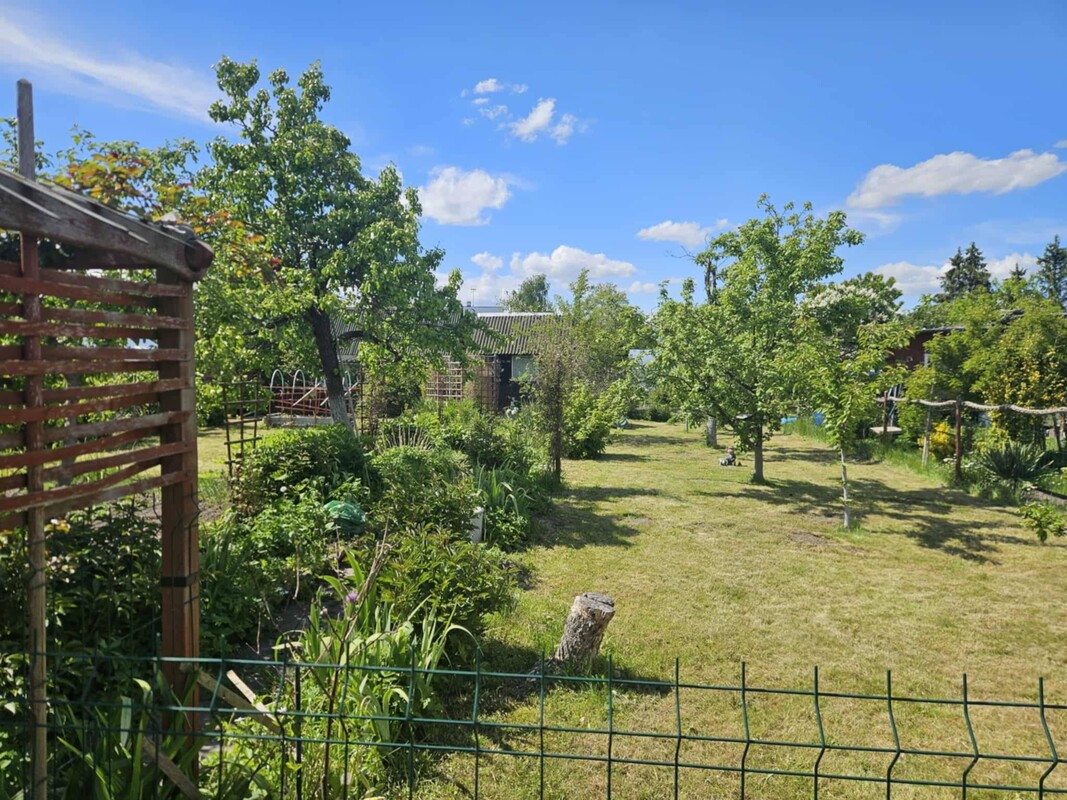 Elbląg Sprzedam działkę ROD przy Skrzydlatej