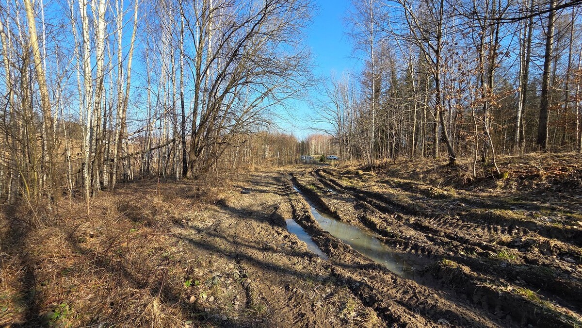 Elbląg SZULC & SZULC BIURO NIERUCHOMOŚCI NA SPRZEDAŻDziałka budowlana - Elbląg ul. JaworowaPowierzchnia: 5075 m2