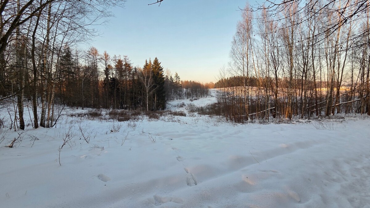 Elbląg BIURO NIERUCHOMOŚCISZULC& SZULCDziałka budowlana w miejscowości Elbląg ul. Jaworowa /Dąbrowa/ o