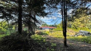 Elbląg Sprzedam działkę budowlaną we Władysławowie /Elbląg, przedłużenie ul. Żuławskiej/o pow.743 m2/ dostępne media
