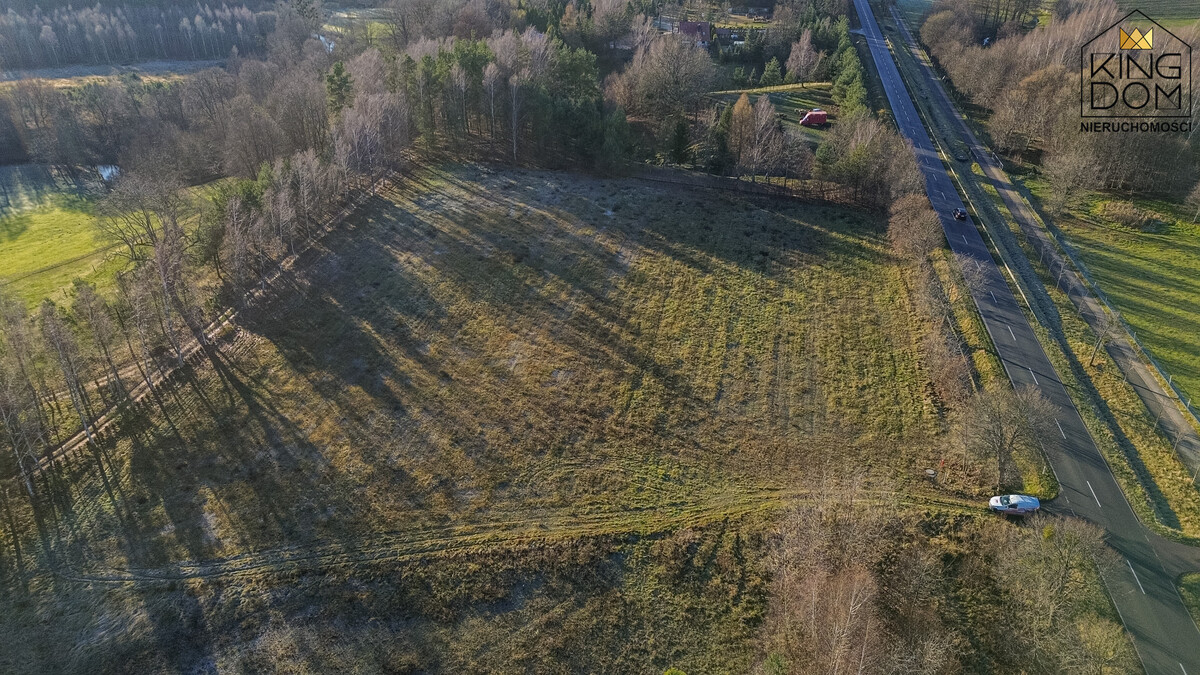 Elbląg KINGDOM NIERUCHOMOŚCI BLISKO CIEBIEDZIAŁKA Z POTENCJAŁEM - 3000 m2 BĄDŹ 11.601 m2Z WYDANYMI WARUNKAMI ZABUDOWYW