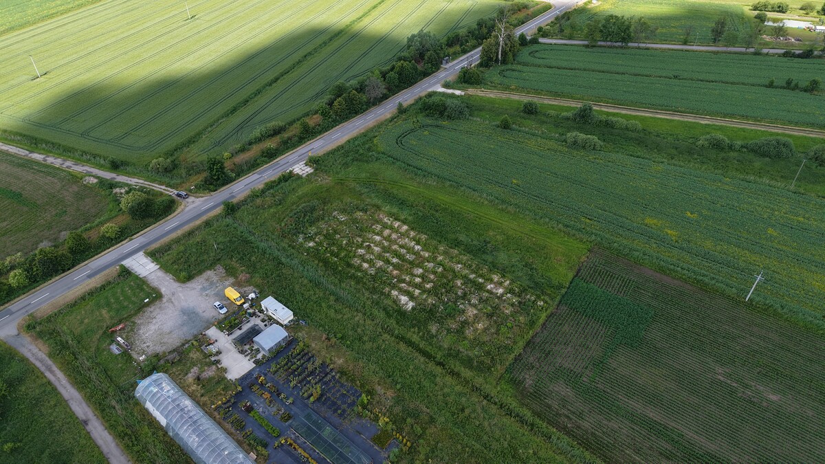 Elbląg WGN Nieruchomości oddział Elbląg prezentuje Państwu działkę przemysłową w Elblągu przy ul. Mazurskiej o