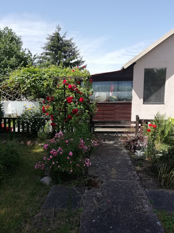 Elbląg Działka ROD, ul Malborska