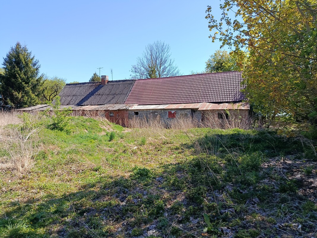 Elbląg Sprzedam ziemię z działką zabudowaną po gospodarstwie rolnym w Pomorskiej Wsi gmina Milejewo 15 minut od