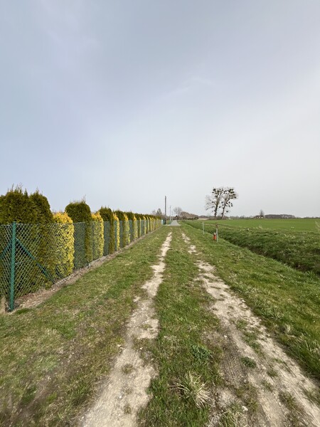 Elbląg Działka pod budowę - Weklice, gm. Elbląg tel: 724 516 951 - powierzchnia: 32 ary-