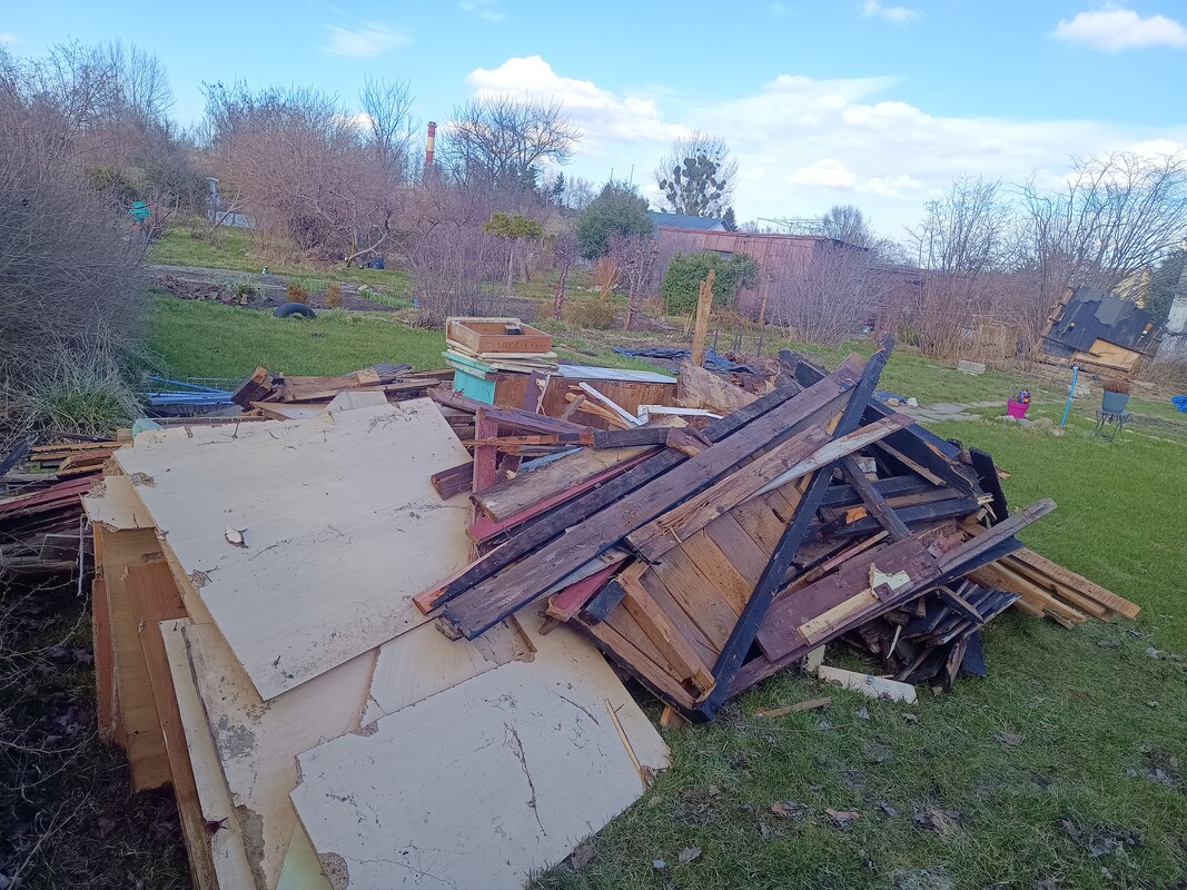 Elbląg Oddam drzewo do palenia transport w swojim zakresie. Pomogę załadować