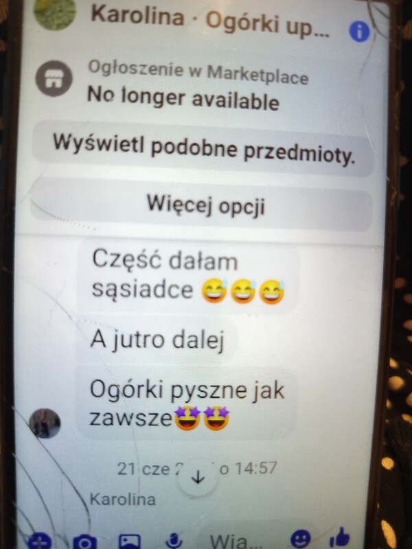 Elbląg Ogórki uprawiane na emach bez nawozów i oprysków