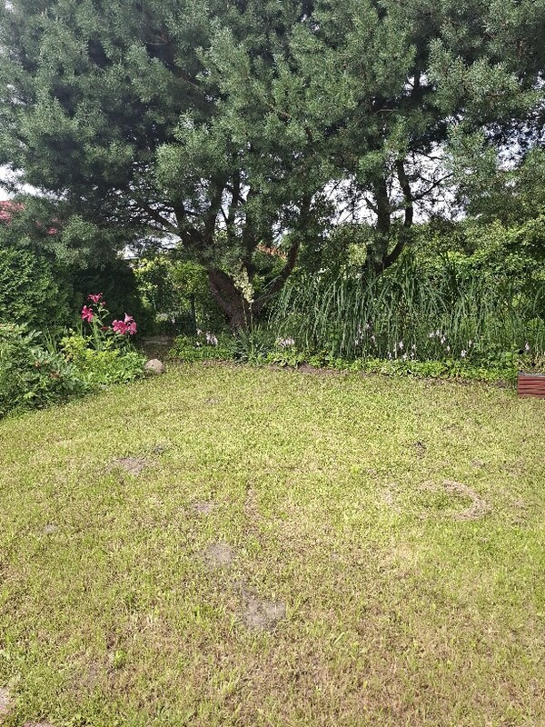 Elbląg Działka ROD PROMYK – Elbląg, ul. Akacjowa – 400 m² 🌿
💰 Cena: 25 000 zł
📞 Kontakt: 509 930 439
Na sprzedaż