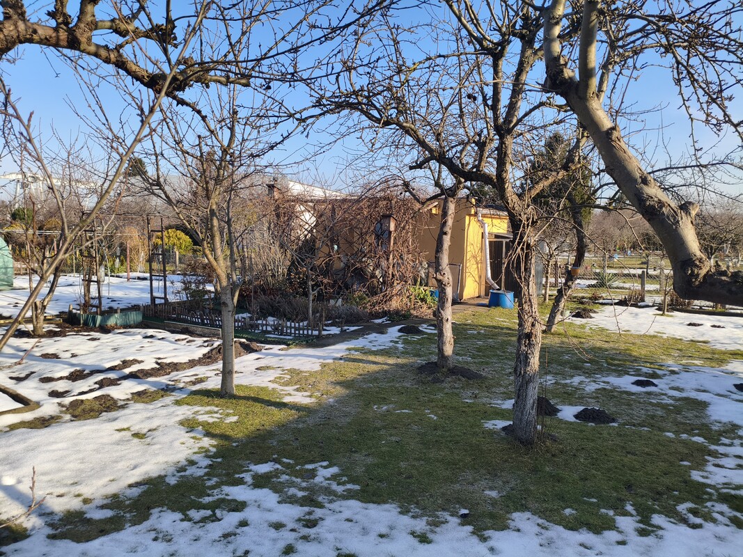 Elbląg 🌿 Twój zielony azyl w mieście! Wyjątkowa działka ROD przy ul. Druskiej na sprzedaż! 🏡