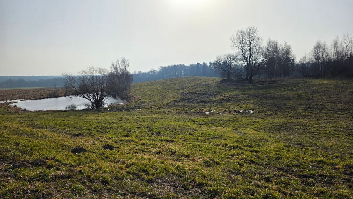 Elbląg SZULC & SZULC BIURO NIERUCHOMOŚCI NA SPRZEDAŻDziałka budowlana - Stare Monasterzysko /gmina