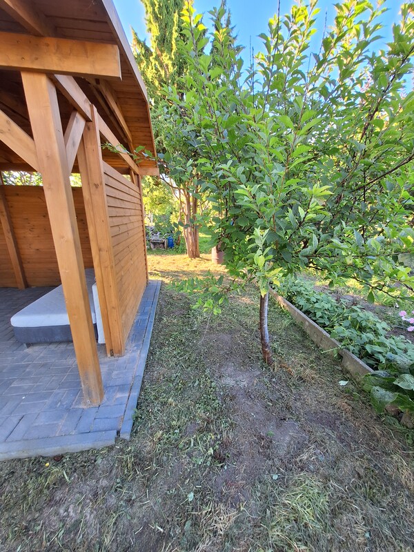 Elbląg 🌿 Na sprzedaż urokliwa działka ROD REKREACJA w Elblągu – Twoje miejsce na odpoczynek! 🌞