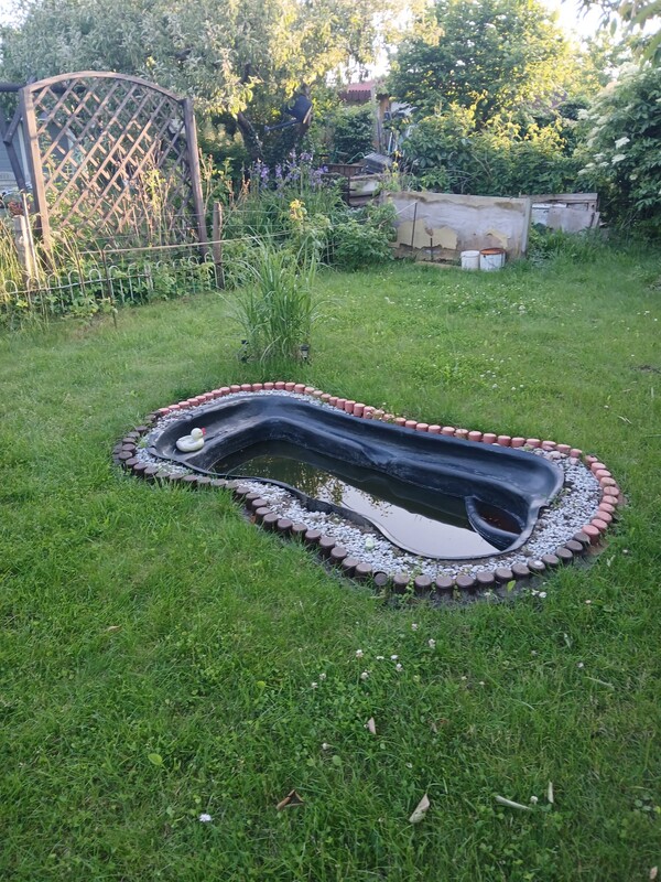 Elbląg Sprzedam piękną działkę rekreacyjna idealne miejsce na odpoczynek.