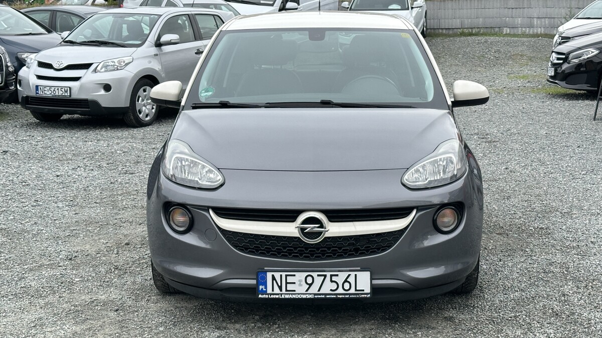 Elbląg Auto Leew LEWANDOWSKI Kupujemy i Sprzedajemy tylko dobre auta Za auta z Polskiego Salonu Płacimy Najwięcej OPEL