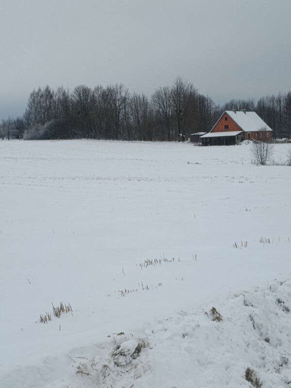 Elbląg Sprzedam 20 hektarów gruntów rolnych położonych we wsi Ząbrowiec gmina Godkowo powiat elbląski. Większość