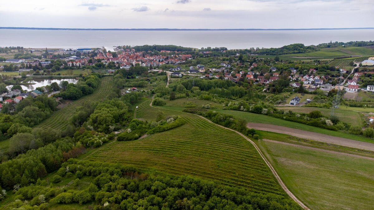 Elbląg TO MY SPRZEDAJEMYNIERUCHOMOŚCI W TYM MIEŚCIEBIURO NIERUCHOMOŚCIAMERICAN HOMEFOR SALE - DZIAŁKA TOLKMICKO