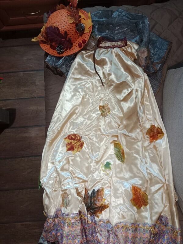 Elbląg Sprzedam stroje karnawałowe po córce w cenie od 20 zł do 35 zł, maska i peruka po 10 zł. Możliwość odbioru w