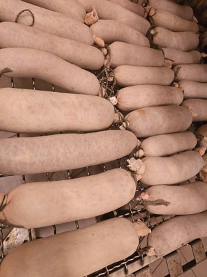 Elbląg Pracownik Zakładu Wędliniarskiego (Produkcja / Masarz) OD ZARAZ!!:))