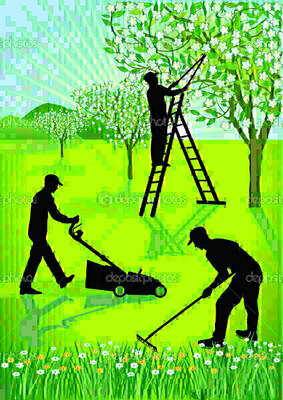 Wykonam usługę:-Koszenie trawy i inne zabiegi na trawniku-Strzyżenie żywopłotów --Przycinanie drzew i krzewów