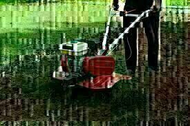 Elbląg Przekopię działkę glebogryzarką.