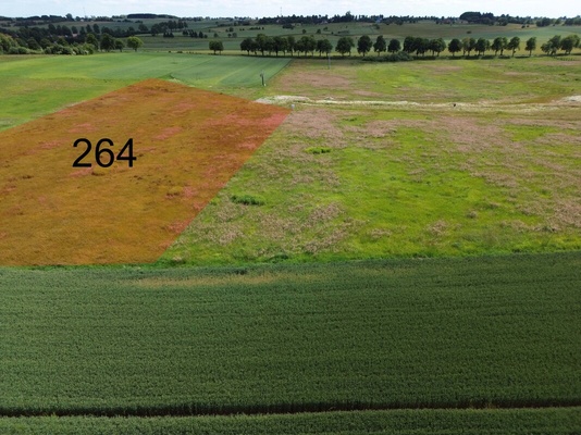 Elbląg NIERUCHOMOŚCI ANNA KRASZEWSKA  Działka budowlana o pow.9645 m2  na nowopowstającym osiedlu domów