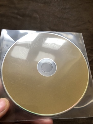 Elbląg Płyta CD zespołu Soulsavers - The Light the Dead See wraz z Davidem Gahanem z Depeche Mode. Płyta dosłownie raz