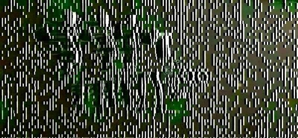 Elbląg Części do maszynki do mięsa sztuka - 10 zł.